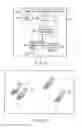 Fig. 02 - Communication apparatus and communication control method