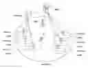 Fig. 01 - MOBILE COMMUNICATION SYSTEM, TERMINAL DEVICE, AND BASE STATION