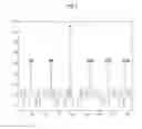 Fig. 03 - Cell search method in wireless communication system