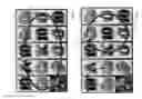 Fig. 06 - Gaming machine and gaming process including further game symbols