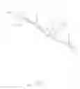 Fig. 07 - Golf club head