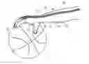 Fig. 01 - Apparatus for training an athlete and methods of using the same