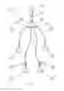 Fig. 02 - Abdominal exercise device