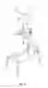 Fig. 06 - SLIDING ABDOMINAL EXERCISE DEVICE