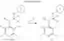 Fig. 07 - 4 -AMINOPICOLINATES AND THEIR USE AS HERBICIDES