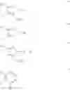 Fig. 19 - Herbicidal benzoxazinones
