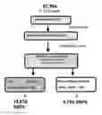 Fig. 01 - Genetic marker identification in atlantic cod