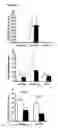 Fig. 07 - Method to assess human allograft status from microrna expression levels
