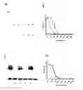 Fig. 03 - Ficolin-3 assay