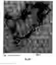 Fig. 110 - SILVER NANOPLATES