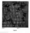 Fig. 111 - SILVER NANOPLATES