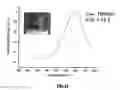 Fig. 12 - SILVER NANOPLATES