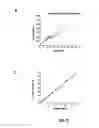 Fig. 15 - SILVER NANOPLATES