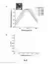 Fig. 17 - SILVER NANOPLATES