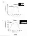 Fig. 47 - SILVER NANOPLATES