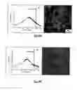 Fig. 71 - SILVER NANOPLATES