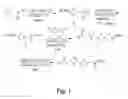 Fig. 04 - Self-assembling peptides bearing organic electronic functionality and applications employing the same