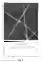 Fig. 11 - Self-assembling peptides bearing organic electronic functionality and applications employing the same
