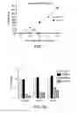 Fig. 02 - Methods and Compositions for Differentiating Embryonic Stem Cells
