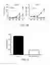 Fig. 03 - Methods and Compositions for Differentiating Embryonic Stem Cells