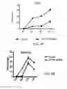 Fig. 05 - Methods and Compositions for Differentiating Embryonic Stem Cells