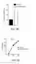 Fig. 06 - Methods and Compositions for Differentiating Embryonic Stem Cells