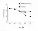 Fig. 16 - Methods and Compositions for Differentiating Embryonic Stem Cells