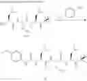 Fig. 27 - Compounds For Enzyme Inhibition