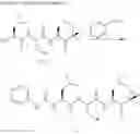 Fig. 26 - Compounds For Enzyme Inhibition