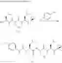Fig. 27 - Compounds For Enzyme Inhibition