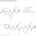 Fig. 28 - Compounds For Enzyme Inhibition