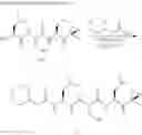 Fig. 29 - Compounds For Enzyme Inhibition