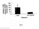 Fig. 09 - Inhibition of secretion from non-neuronal cells