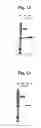 Fig. 12 - Inhibition of secretion from non-neuronal cells