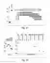 Fig. 02 - Anti-inflammatory compounds and uses thereof