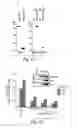 Fig. 03 - Anti-inflammatory compounds and uses thereof