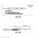 Fig. 05 - Anti-inflammatory compounds and uses thereof