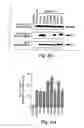 Fig. 09 - Anti-inflammatory compounds and uses thereof
