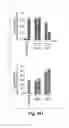 Fig. 13 - Anti-inflammatory compounds and uses thereof