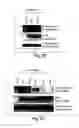 Fig. 20 - Anti-inflammatory compounds and uses thereof
