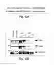 Fig. 24 - Anti-inflammatory compounds and uses thereof