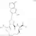 Fig. 37 - NOVEL MACROCYCLIC INHIBITORS OF HEPATITIS C VIRUS REPLICATION