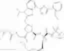 Fig. 42 - NOVEL MACROCYCLIC INHIBITORS OF HEPATITIS C VIRUS REPLICATION