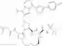Fig. 45 - NOVEL MACROCYCLIC INHIBITORS OF HEPATITIS C VIRUS REPLICATION