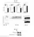 Fig. 08 - Agents and methods for tissue repair and regeneration