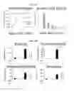 Fig. 09 - Agents and methods for tissue repair and regeneration