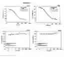 Fig. 04 - Delta-opioid receptor selective analgesics