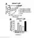 Fig. 06 - Transducible delivery of nucleic acids using modified dsRNA binding domains