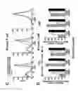 Fig. 07 - Transducible delivery of nucleic acids using modified dsRNA binding domains