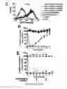 Fig. 21 - Transducible delivery of nucleic acids using modified dsRNA binding domains